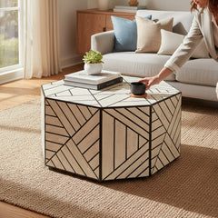 Bone Inlay Centerpiece Coffee Table For Living Room Decor