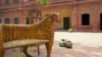 Tiger Chair - Hand Painted Reclaimed Teak Wood Chair 96cm - Image 3