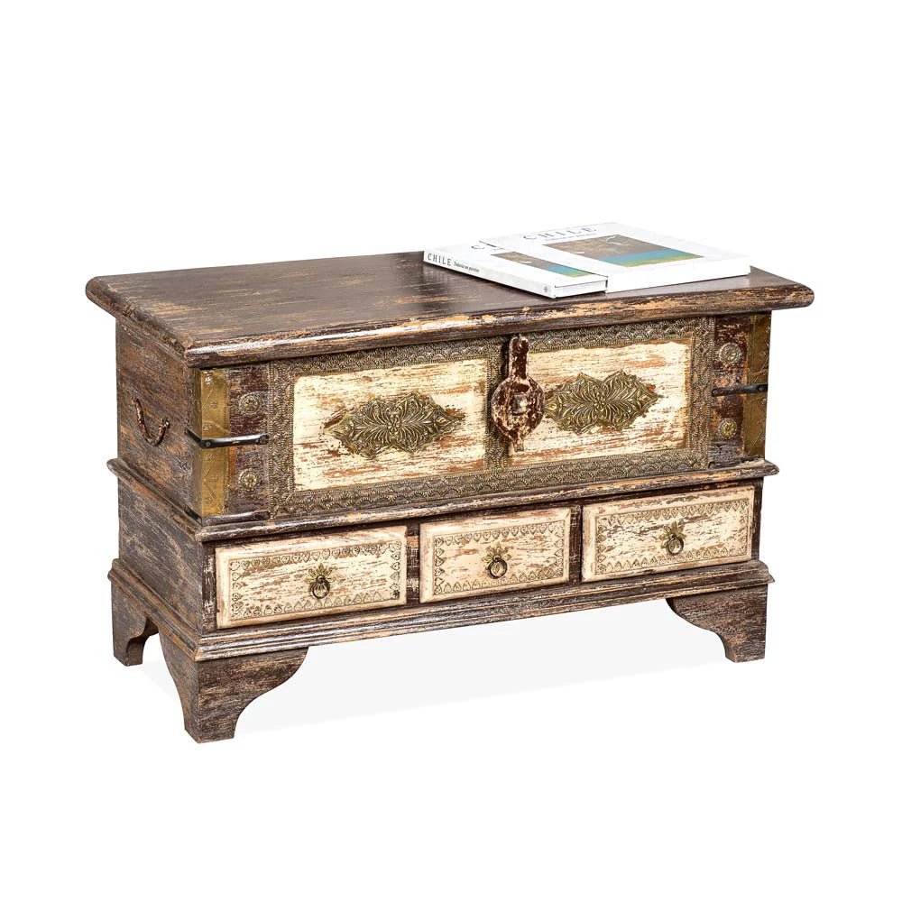 DorothyTrunk_2 Vintage Trunk Box, Home Decor Antique Furniture - Image 1